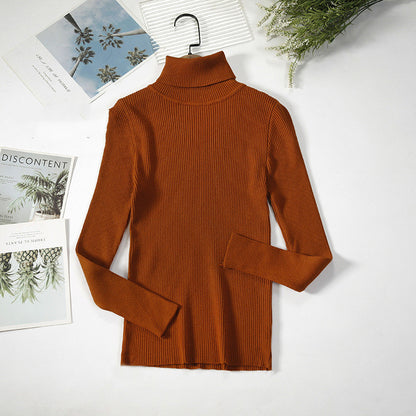 Pull Élégant