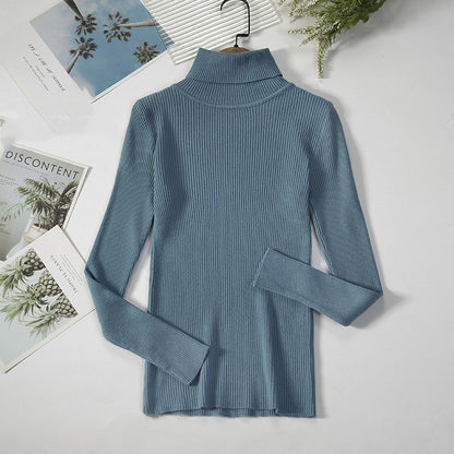 Pull Élégant