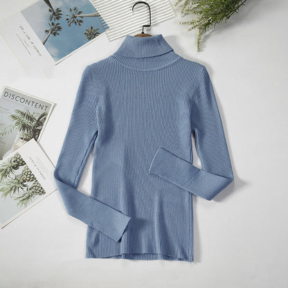 Pull Élégant