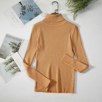 Pull Élégant