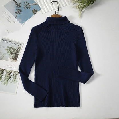 Pull Élégant